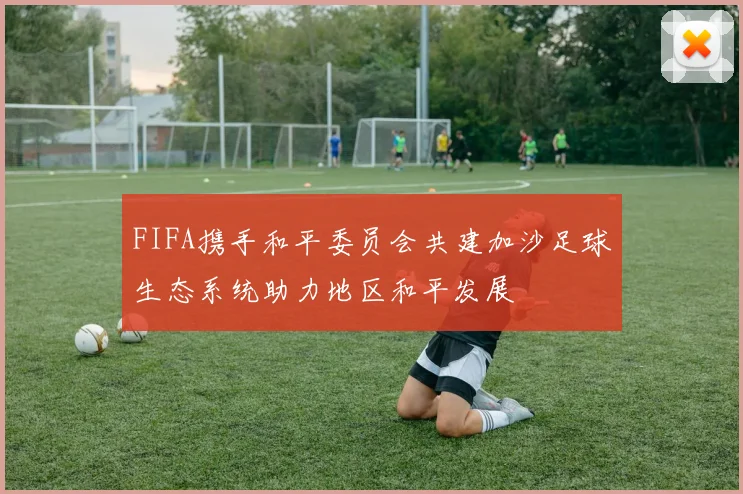 FIFA携手和平委员会共建加沙足球生态系统助力地区和平发展